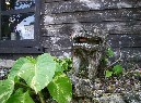 image/199903_05.jpg